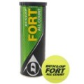 ��������� ���� Dunlop Fort All Court 3 ����
